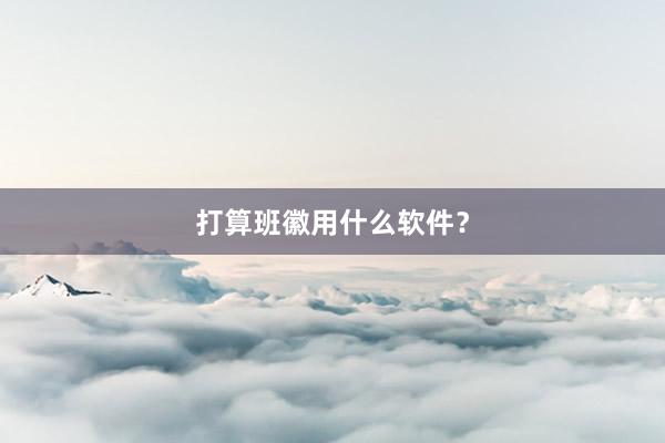 打算班徽用什么软件？